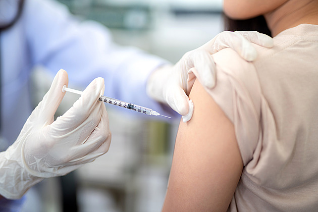 Vakcína proti žloutence má být zdarma. Epidemie se zhoršuje, očkovaných je málo