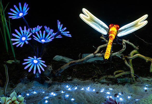 OBRAZEM: Zvířata, obří vážky i květiny. Světelná zahrada v Hradci jitří fantazii