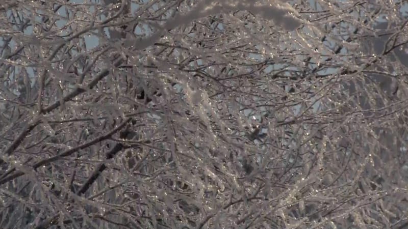 RADAR: Napadne bohatá sněhová nadílka, v noci udeří mrazy. Meteorologové vydali výstrahy