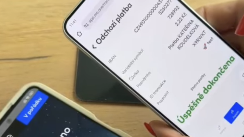 Platby bez karet: česká alternativa, která šetří náklady i ekonomiku