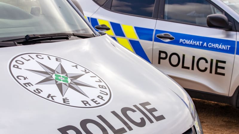 Čech měl ukrývat kokain do dortů a vozit ho z Německa. Pašeráků byla celá tlupa