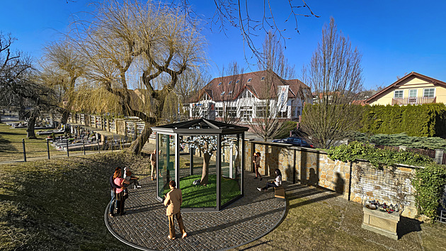 Hřbitovy na Vysočině jsou plné. V Bystřici tak uloží urny pod křišťálový strom