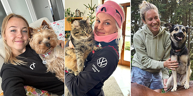 Čtyřnozí mazlíčci českých olympioniků. Kdo je přivítá po návratu domů?