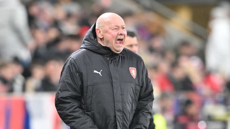 Miroslav Koubek, brankář Plzně i zkušený trenér. Kdo je muž, který Čechy povede do Mexika?