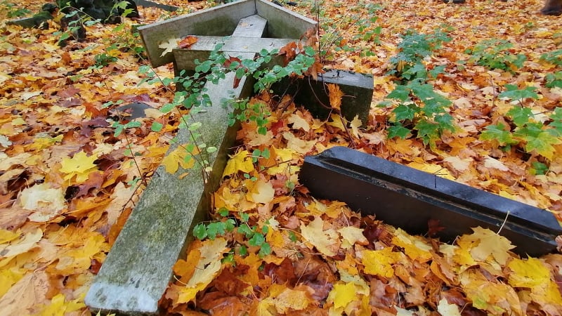 Veterán od Stalingradu i odbojář ze Sudet. Deset osudů z pohraničí vs. sjezd v Brně 