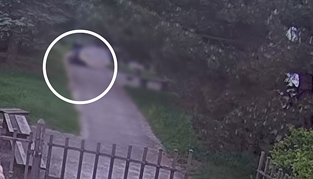 Třináctiletý uprchlík z polepšovny chladnokrevně přepadl dívku, muže ohrožoval nožem